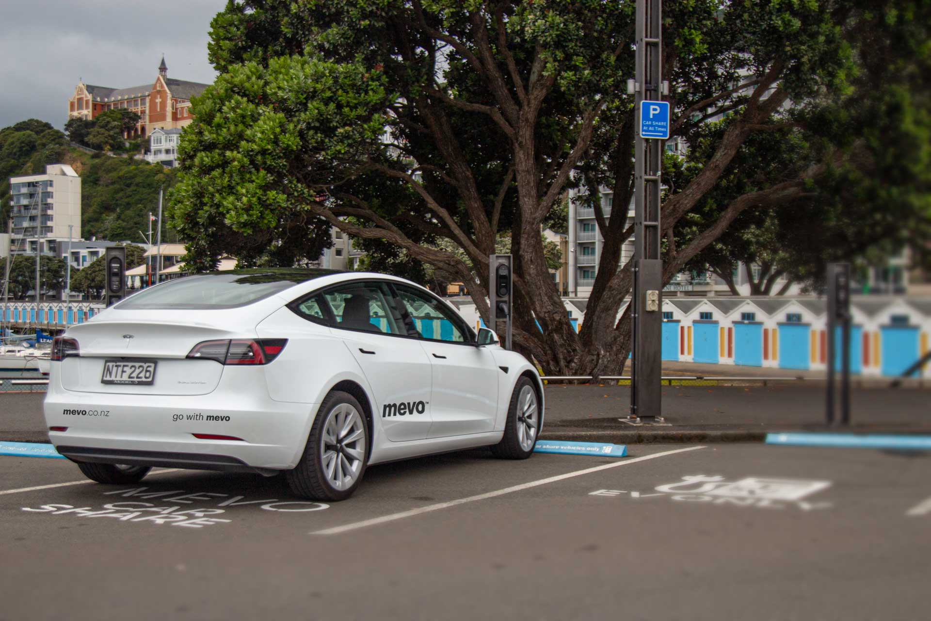 Tesla Model 3 parked at Mevo car share parks at Clyde Quay, Wellington
